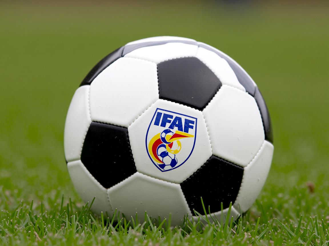 九游官网入口-法国队表现出色，轻松晋级欧洲杯强  第3张