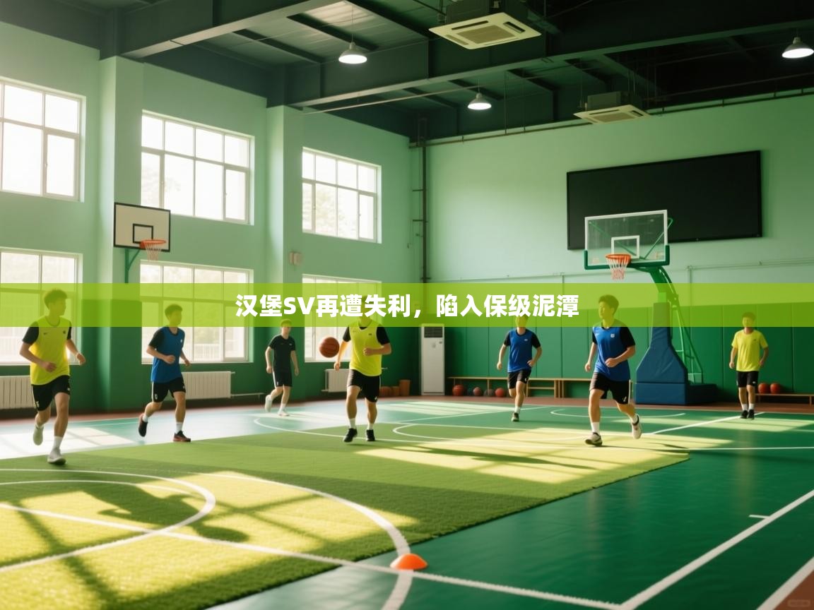 汉堡SV再遭失利，陷入保级泥潭  第2张