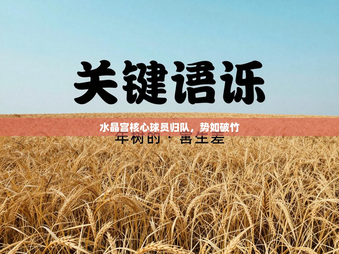 水晶宫核心球员归队，势如破竹  第2张